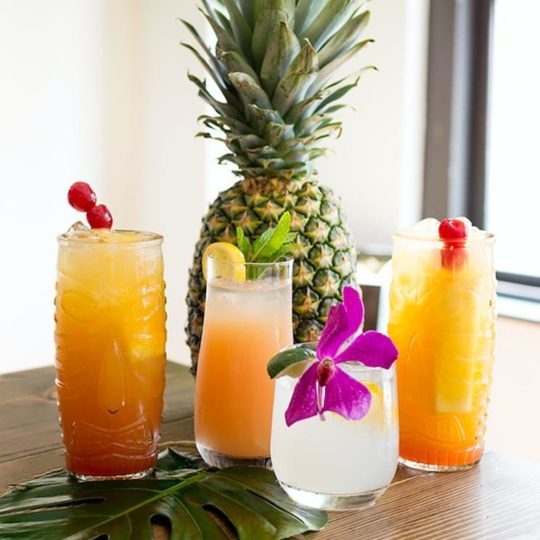TIPSY TROPICAL CLASS